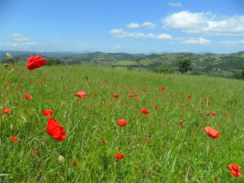 La Cinci Allegra Valfabbrica Zewnętrze zdjęcie
